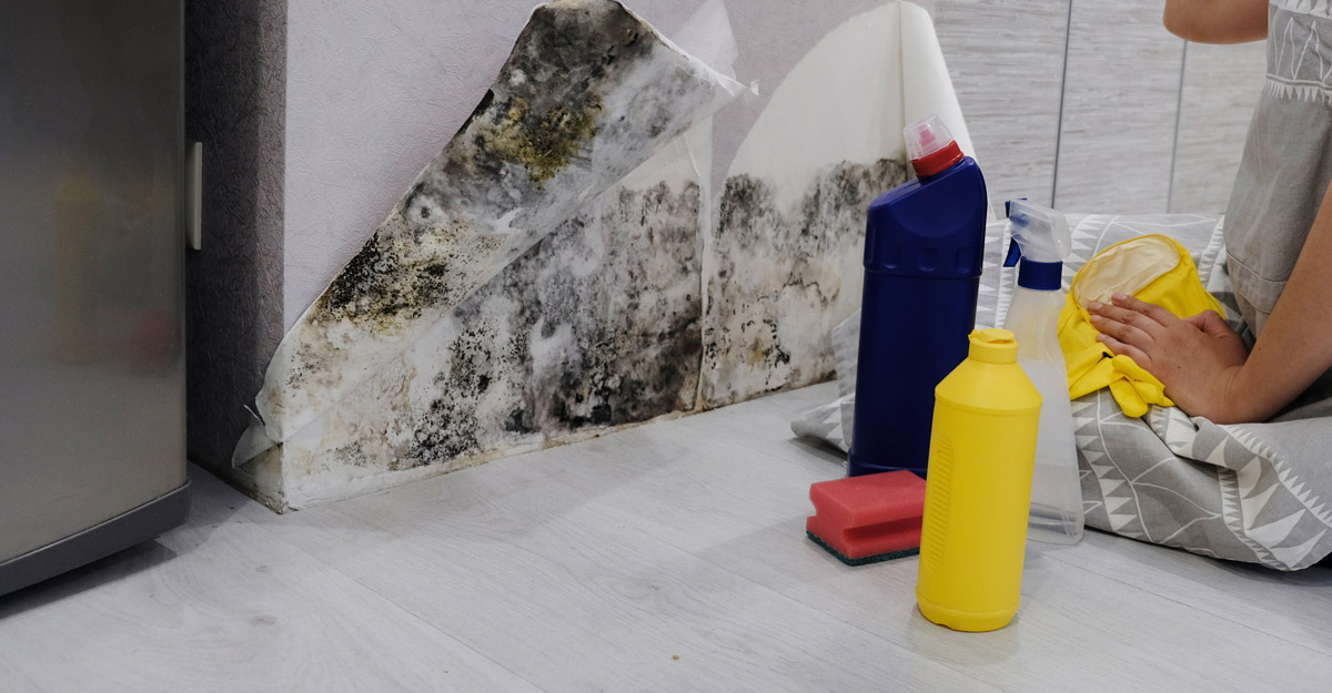 Mold Under Wallpaper Finding and Removing IPASSN